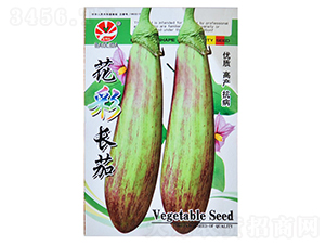 �����L(zh��ng)��-���ӷN��