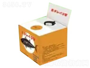 �~����-�ѹ�Ӣ