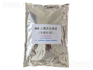 BM�����������|(zh��)���������磩-�Ű�����