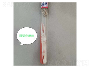 �׽���б��ԇ��-�Ű�����