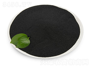 �S����-���B��