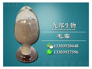 BMëù���N-�Ű�����