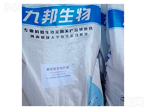 �����ѿ�ߗU��-�Ű�����