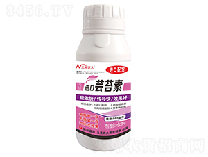 �����M(j��n)���|̦��-�����r(n��ng)��