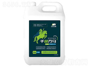 ǧ���f(w��n)�R΢�������-�п��Z��