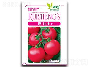 ����ʿF1-���ѷN��-����