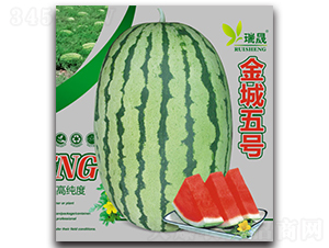 �����̖-���ϷN��-����