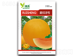 ���t8̖-��ϷN��-����