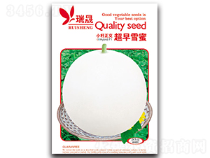 ����ѩ��-����