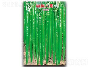 ���ݰ�̖F1-�����N��-ʒ�зN�I(y��)