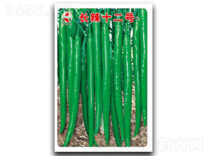 �L��ʮ��̖-�����N��-ʒ�зN�I(y��)