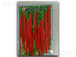 ���L��̖-�����N��-ʒ�зN�I(y��)