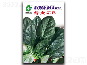 �G��ʯ-���˷N��-�V��