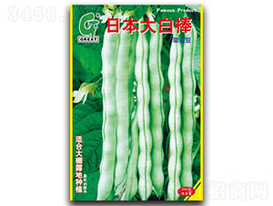 �ձ���װ�-�|���N��-�V��