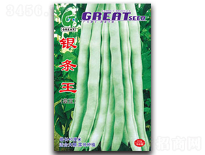 �y�l��-�|���N��-�V��