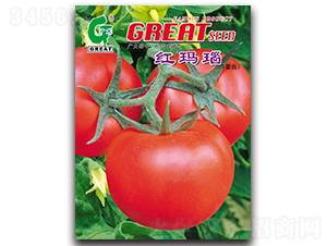 �t���-���ѷN��-�V��