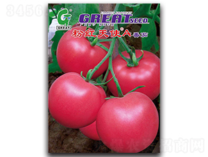 �ۼt��ʹA-���ѷN��-�V��