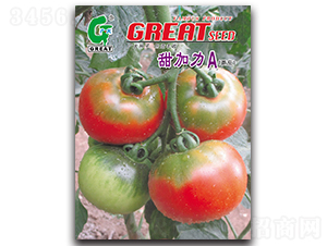 �����A-���ѷN��-�V��