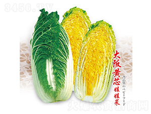 �����Sо���޲�-���޲˷N��-��Ʒ�r(n��ng)�I(y��)