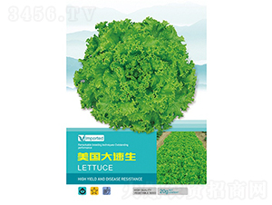 ����������-���˷N��-��Ʒ�r(n��ng)�I(y��)