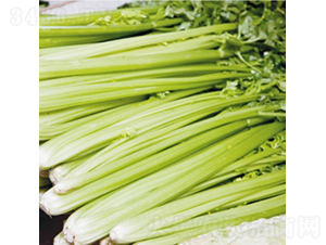 �G����-�۲˷N��-��Ʒ�r(n��ng)�I(y��)