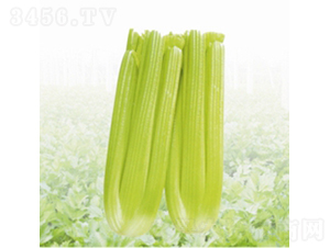 �W�޿���-�۲˷N��-��Ʒ�r(n��ng)�I(y��)