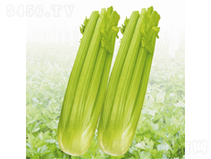 һƷ����-�۲˷N��-��Ʒ�r(n��ng)�I(y��)