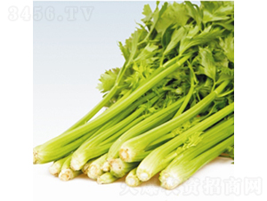 ���P��-�۲˷N��-��Ʒ�r(n��ng)�I(y��)