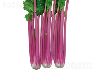 �����t��-�۲˷N��-��Ʒ�r(n��ng)�I(y��)