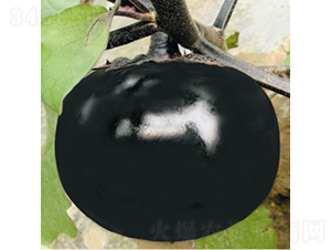 �����Ϲ�-���ӷN��-��Ʒ�r(n��ng)�I(y��)