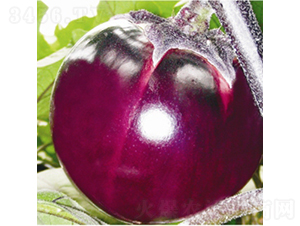 �t�s3̖-���ӷN��-��Ʒ�r(n��ng)�I(y��)