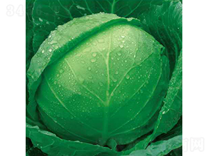 �|��֮��-���{(l��n)�N��-��Ʒ�r(n��ng)�I(y��)