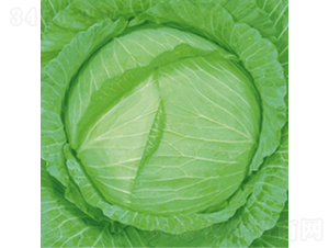 ��Ʒ3̖(h��o)-���{(l��n)�N��-��Ʒ�r(n��ng)�I(y��)