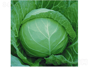 ���x8398-���{(l��n)�N��-��Ʒ�r(n��ng)�I(y��)