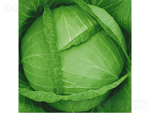 �������S-���{(l��n)�N��-��Ʒ�r(n��ng)�I(y��)