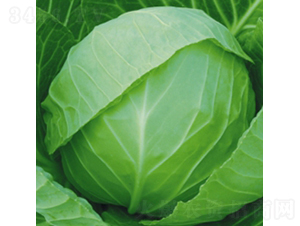 �Ĳ���-���{(l��n)�N��-��Ʒ�r(n��ng)�I(y��)