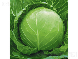 �ձ��G��-���{(l��n)�N��-��Ʒ�r(n��ng)�I(y��)