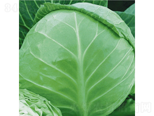 �ձ�������-���{(l��n)�N��-��Ʒ�r(n��ng)�I(y��)