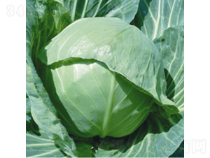 �h(yu��n)�|80-���{(l��n)�N��-��Ʒ�r(n��ng)�I(y��)