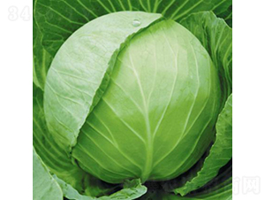 ����38-���{(l��n)�N��-��Ʒ�r(n��ng)�I(y��)