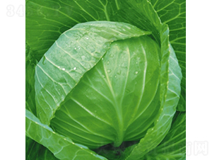 ��Ʒ����-���{(l��n)�N��-��Ʒ�r(n��ng)�I(y��)