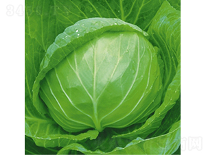 ��Ʒ������-���{(l��n)�N��-��Ʒ�r(n��ng)�I(y��)