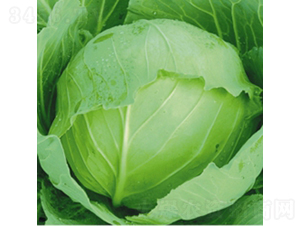 ����21-���{(l��n)�N��-��Ʒ�r(n��ng)�I(y��)