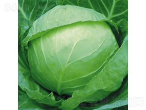 ����15-���{(l��n)�N��-��Ʒ�r(n��ng)�I(y��)