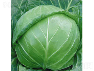 ��Ʒˬ��-���{(l��n)�N��-��Ʒ�r(n��ng)�I(y��)