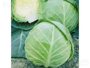 ��ζ����-���{(l��n)�N��-��Ʒ�r(n��ng)�I(y��)