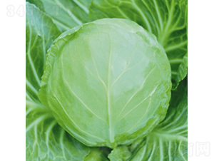 �m���ļ���-���{(l��n)�N��-��Ʒ�r(n��ng)�I(y��)