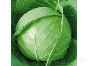 ����-���{�N��-��Ʒ�r(n��ng)�I(y��)