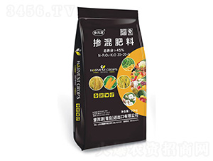 �������20-20-5-�u(y��)ïԴ