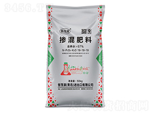 �������19-19-19-�uïԴ